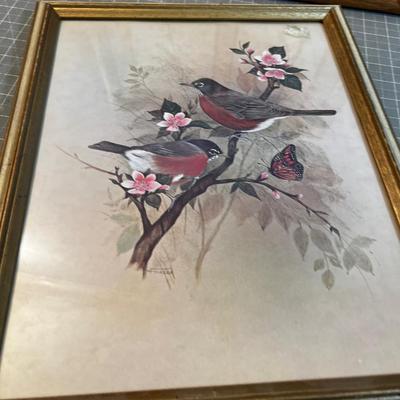 Nice Old Bird Prints - Robins & Sparrow 