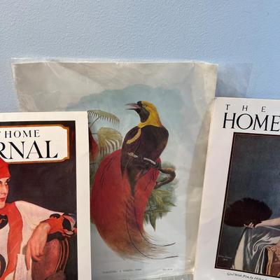 Vintage Prints and Posters 