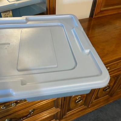 A Single Under the Bed Tote 