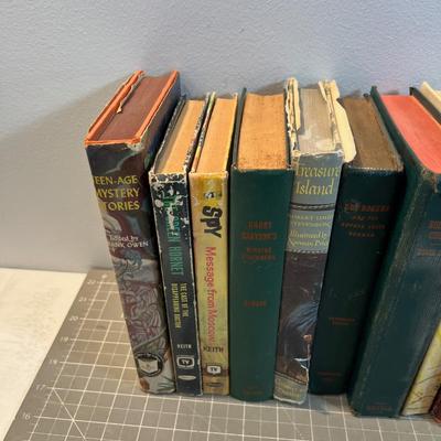 Young Adult Books Large Lot