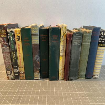 Young Adult Books Large Lot