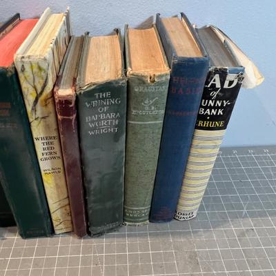 Young Adult Books Large Lot