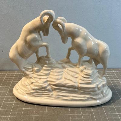 Rocky Mountain Big Horn Sheep