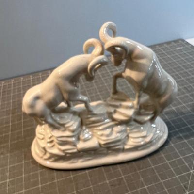 Rocky Mountain Big Horn Sheep