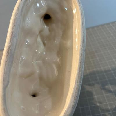 Rocky Mountain Big Horn Sheep