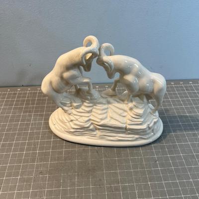 Rocky Mountain Big Horn Sheep