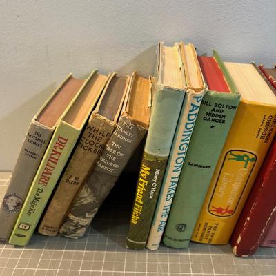 Mixed Vintage & Young Adult Books 