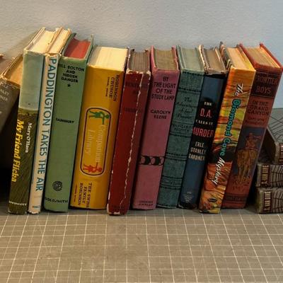 Mixed Vintage & Young Adult Books 