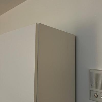 Basement: 2 White Melamine Cupboard  