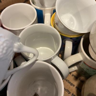 Basement: Box Full of Coffee Cups 