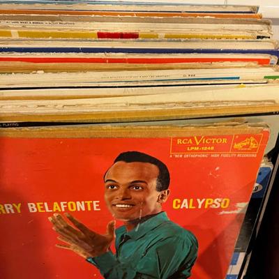 Basement:  All the Records in the House