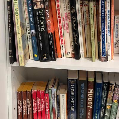 Basement: 3 Shelves of Coffee Table Books and Novels 
