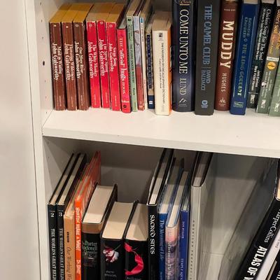 Basement: 3 Shelves of Coffee Table Books and Novels 