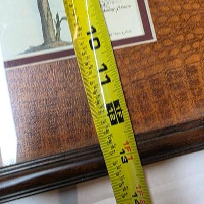 Antique-Style Palm Tree Botanical Prints Framed Pair Royal Barbados Engravings