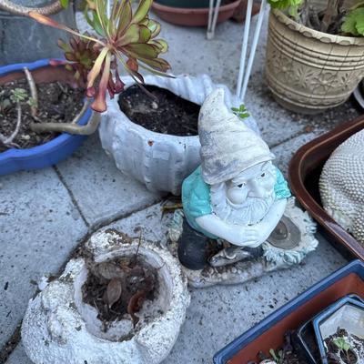 Large lot of garden pots plants and decor