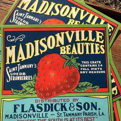 Original Louisiana Strawberry Crates w/ Labels & Crate Tool – Madisonville / Albany LA
