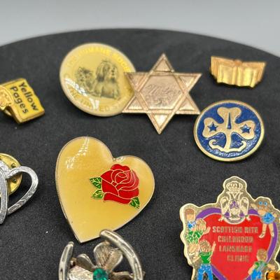 LOT 187J: Assorted Pins