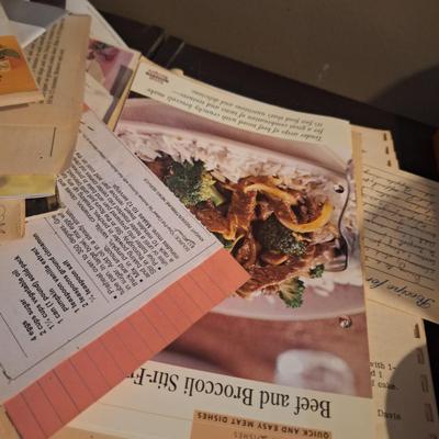 bundle of recipes, clippings, pamplets, hand written etc. just a pile of cooking goodness