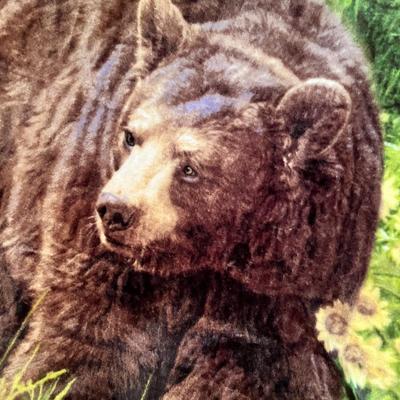 Lot 84 Bear fleece throw