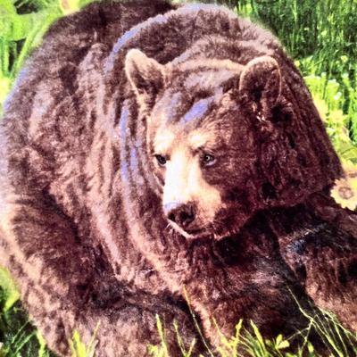 Lot 85 Bear fleece throw