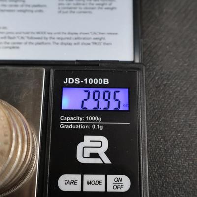Mixed Morgan Dollars, 29.95 Troy Ounces (C1-21)