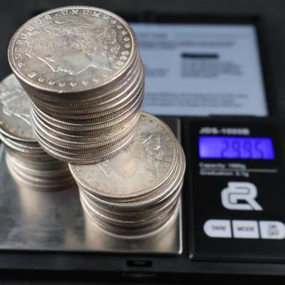 Mixed Morgan Dollars, 29.95 Troy Ounces (C1-21)