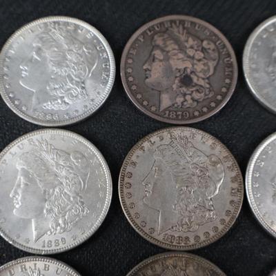 Mixed Morgan Dollars, 29.95 Troy Ounces (C1-21)