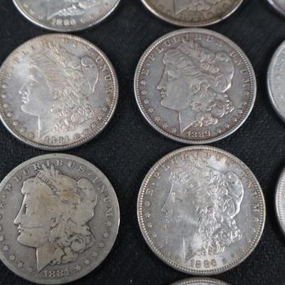 Mixed Morgan Dollars, 29.95 Troy Ounces (C1-21)