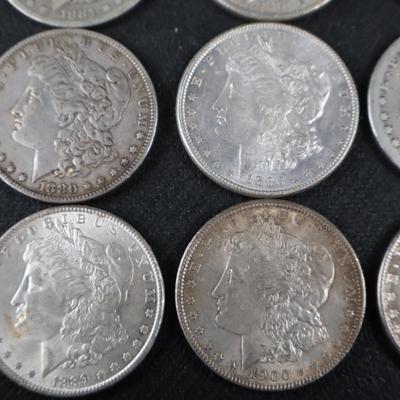 Mixed Morgan Dollars, 29.95 Troy Ounces (C1-21)