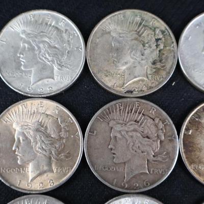 Mixed Peace Dollars, 10.31 Troy Ounces (C1-23)