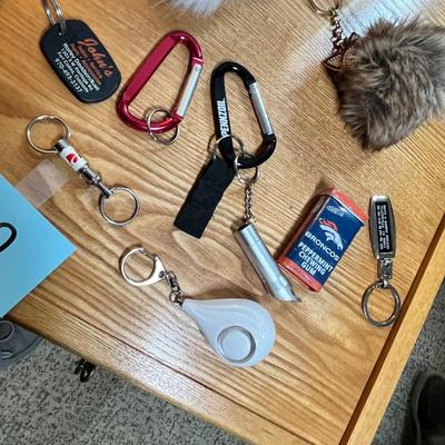 Lot 180 Key chains