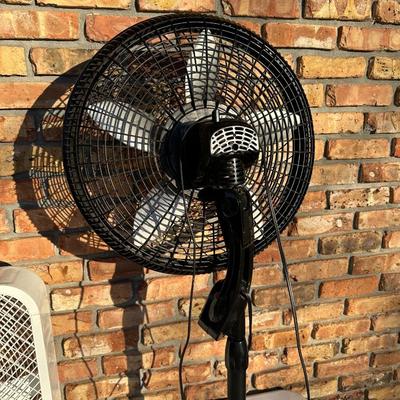 3) Electric Fans – (2) Lasko Pedestal Fans + (1) Utilitech Box Fan – All Working