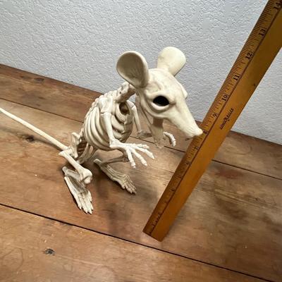 Lot 207 Rat skeleton