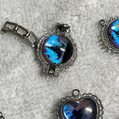 Lot 246 Butterfly wing jewelry