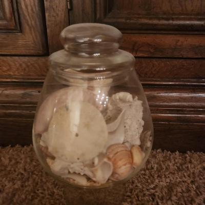 Glass container w/ sea shells