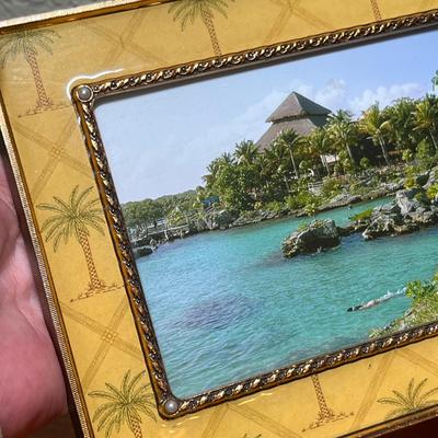 Lot 338 Tropical frame