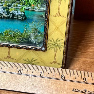 Lot 338 Tropical frame