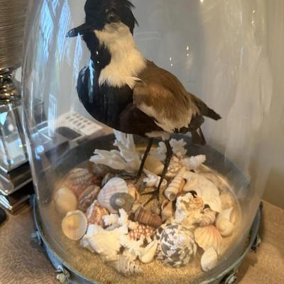 Sale Photo Thumbnail #229