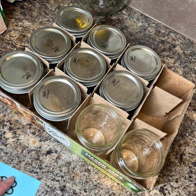 Lot 488 jelly jars