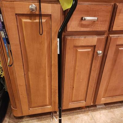 Cane offset w/ strap