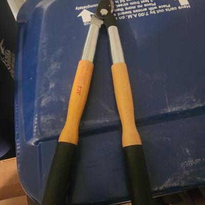 Ace lopping shears