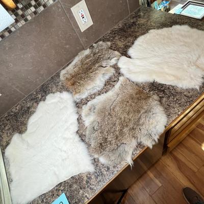 Lot 549 Rabbit Pelts