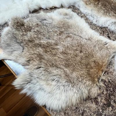 Lot 549 Rabbit Pelts
