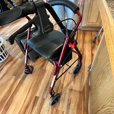 Lot 557 Fancy walker