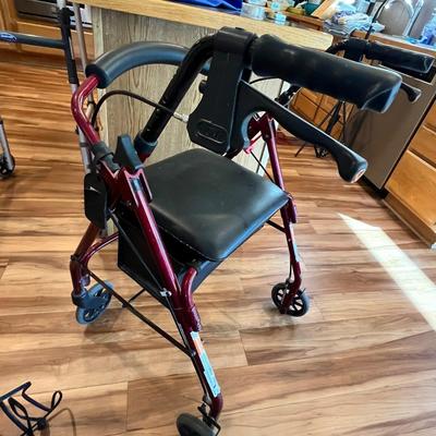 Lot 557 Fancy walker