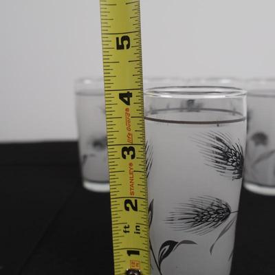Libbey Silver Leaf/Wheat Glasses (5)