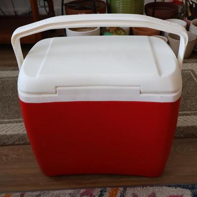 Igloo Cooler