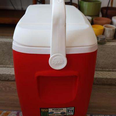 Igloo Cooler