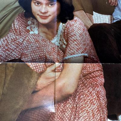 The Big Chill One Sheet Movie Poster