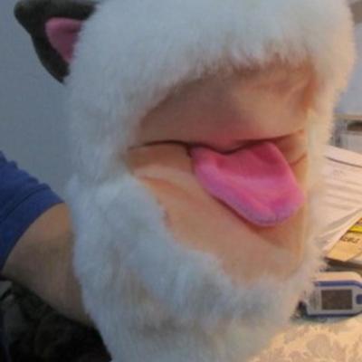 Sale Photo Thumbnail #90: Wily Coyote, Odie, reindeer, monkey, sock monkey, dog, stuffed Smiley , kangaroo & dog puppets